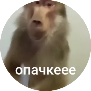🌟