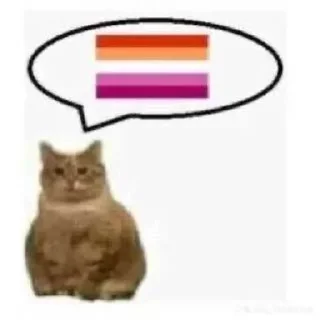 🏳️‍🌈