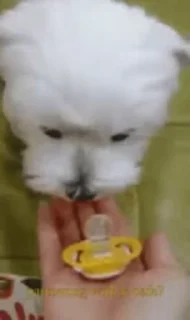 👶