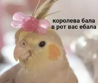 😂
