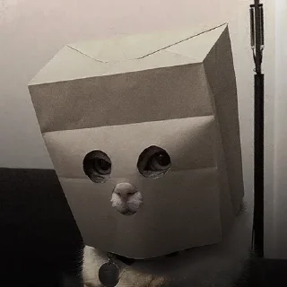🐈‍⬛