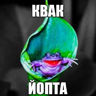 👋