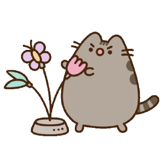 🌷