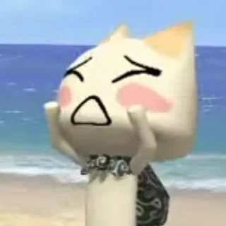 😿