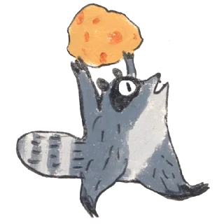 racoon_osierforest