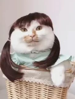 🫣
