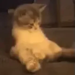 🍆