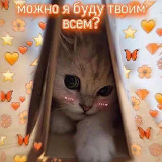 😊