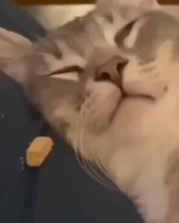 😴