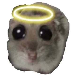 😇