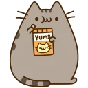 🐱