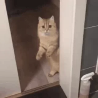 🥰