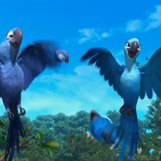 🦜