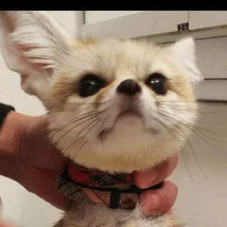 😐