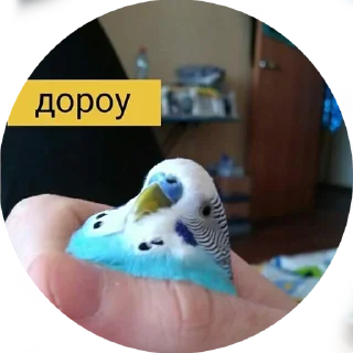 🙂