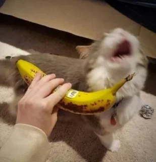 😫