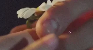 🌼