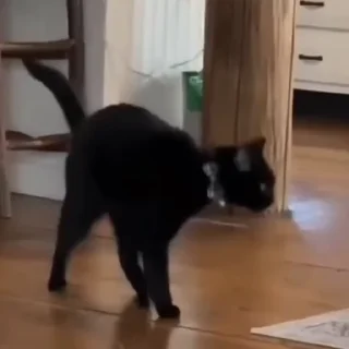 😮