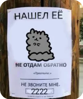 🌟
