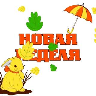 🍁
