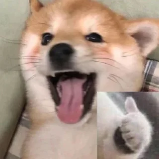 👍
