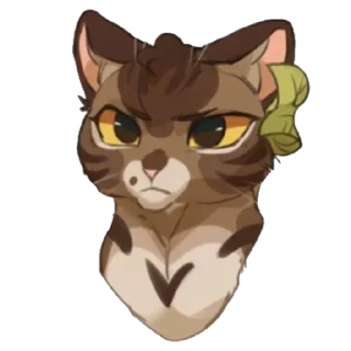 🐱