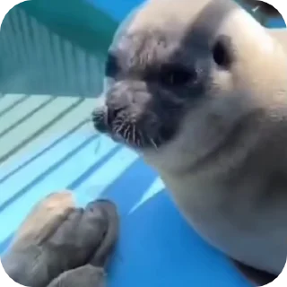 😝