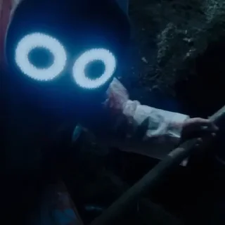 👤