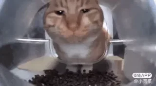 👊