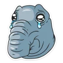 😥