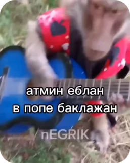 🌟