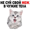 😂