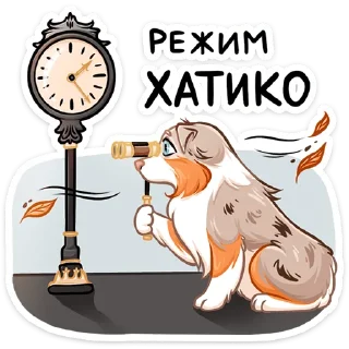 ⏳