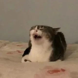 🤯
