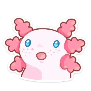 😳