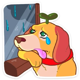 ☔️