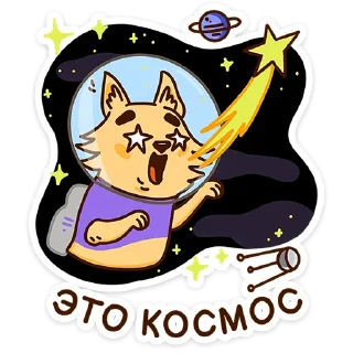 👩‍🚀