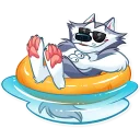 😎