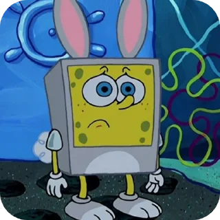 🐰