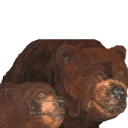 🐻