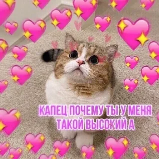 💖