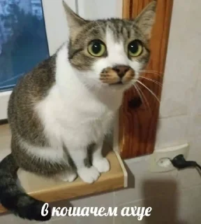 😭