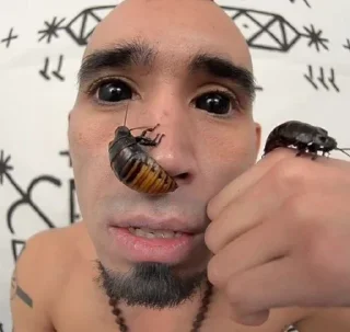 🥺