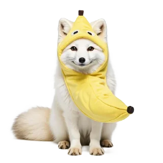 🐩