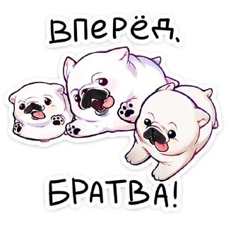 😜