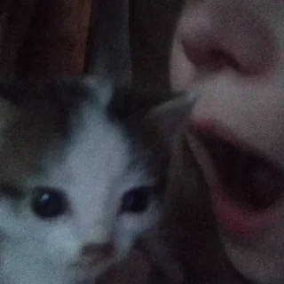 😳