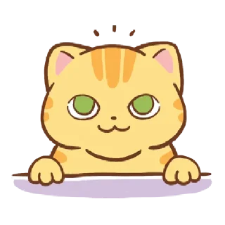 🐱