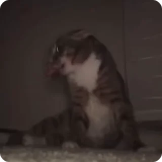 🤪