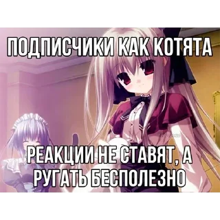 😼