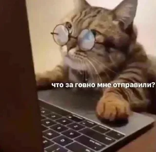 🤨